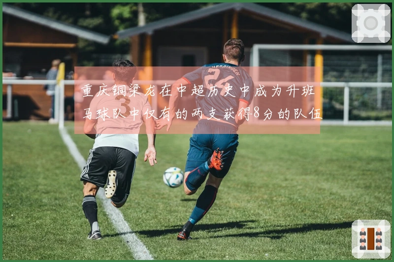 重庆铜梁龙在中超历史中成为升班马球队中仅有的两支获得8分的队伍